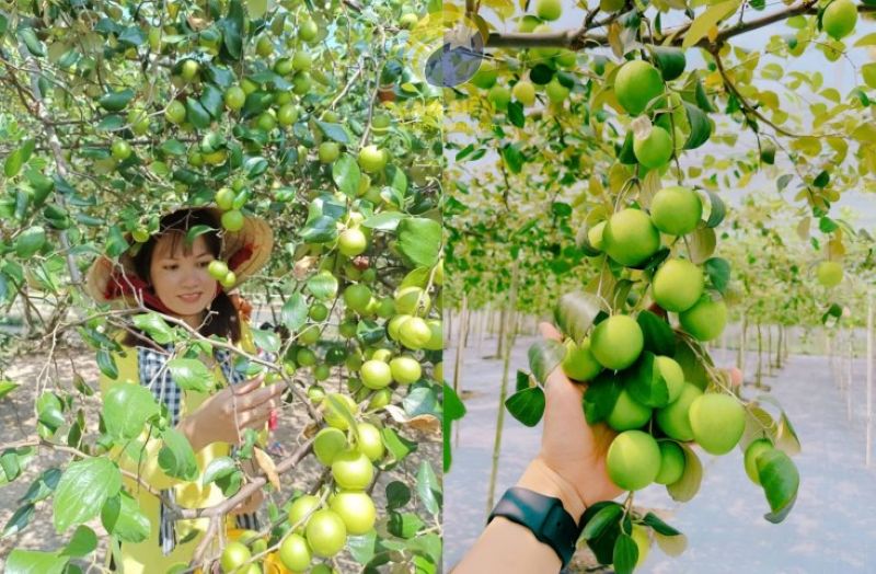 Biển Tân Thành Gò Công