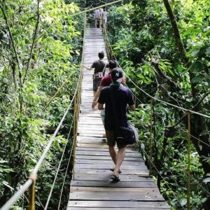 Tour Madagui Team building