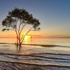 Bãi biển Tân Thành Gò Công Tiền Giang