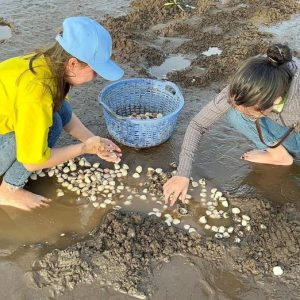 Du lịch Tân Thành Gò Công