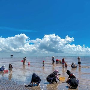 Tour du lịch biển Tân Thành Gò Công