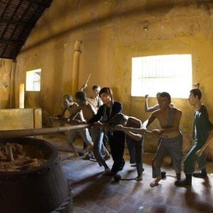 Tour du lịch Côn Đảo 2 ngày 1 đêm từ TPHCM