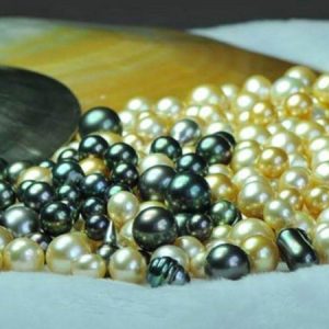 Tour du lịch Côn Đảo 2N1Đ