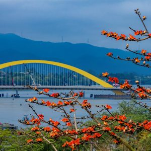 Tour Huế trọn gói