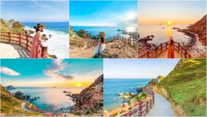 Tour Quy Nhơn Phú Yên