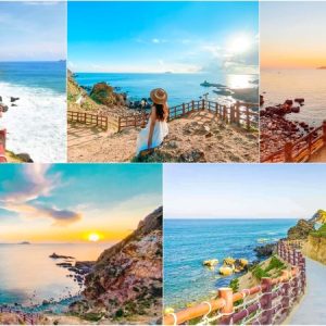 Tour Quy Nhơn Phú Yên