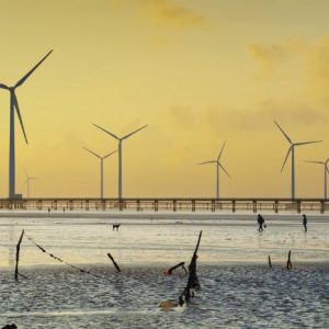 Tour Cần Thơ Cà Mau Bạc Liêu Sóc Trăng 4 ngày 3 đêm